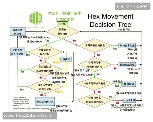 武汉飞盘队意识对比深度剖析与战术思维的全面探讨