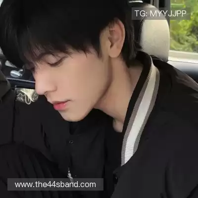 申宸禹